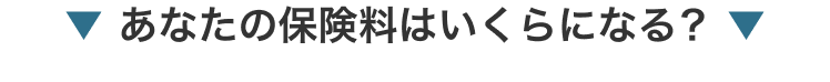 あなたの保険料はいくらになる？