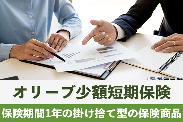葬儀保険はオリーブ少額短期保険の死亡保険が条件面や料金からおすすめ