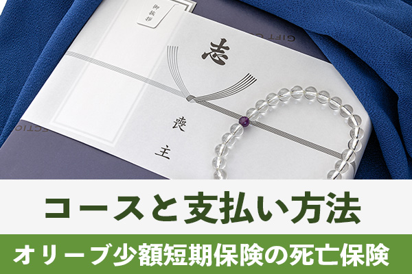 オリーブ少額短期保険の死亡保険はコースと支払い方法を選べる